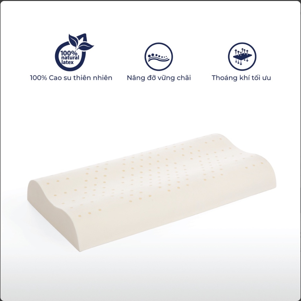 Gối cao su Contour Liên Á