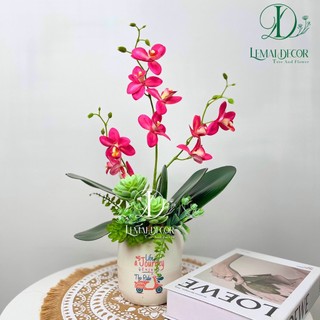Chậu cây giả - Chậu lan hồ điệp