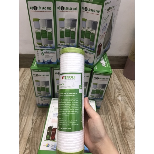 Bộ lõi lọc 123 feroli chính hãng