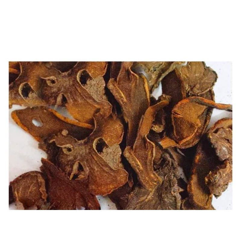 Nấm Ngọc cẩu tươi và khô 1kg