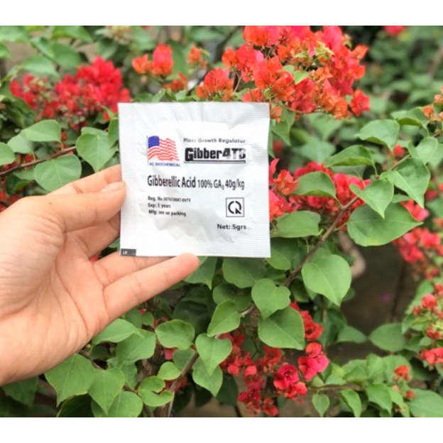 Viên kích thích sinh trưởng GA3 5G JVA18 VietNhat