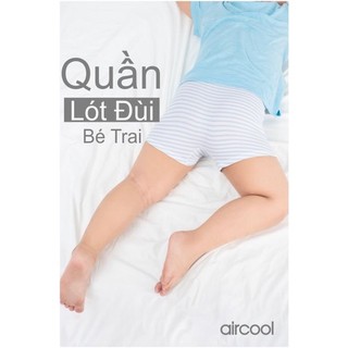 Quần chip (lót đùi,boxer) Aircool bé trai