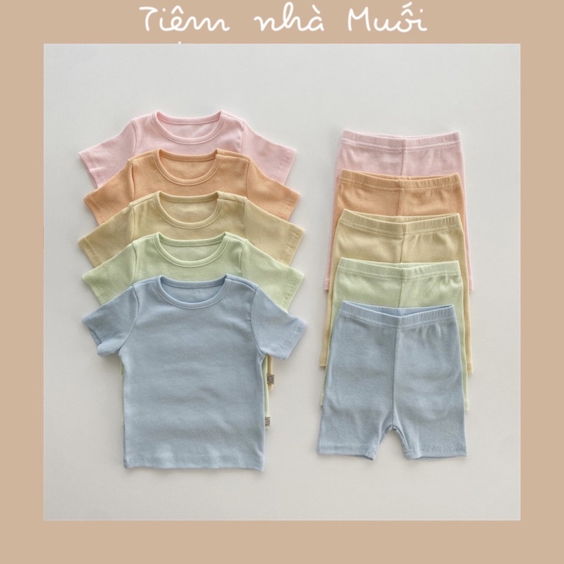 Bộ cộc cotton thun gân tăm màu pastel phong cách Hàn cho bé trai, bé gái 5-13kg