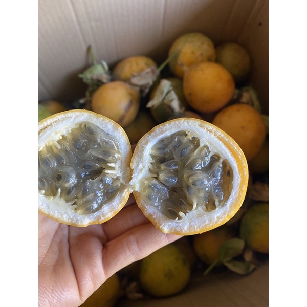 Chanh dây Colombia - Chanh dây vàng ngọt hương ổi -1kg