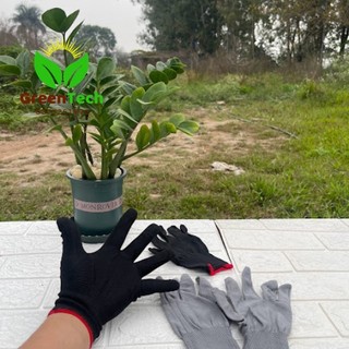 [ Giá Sỉ ] Găng Tay Sởi Vải Làm Vườn - Gang tay lao động