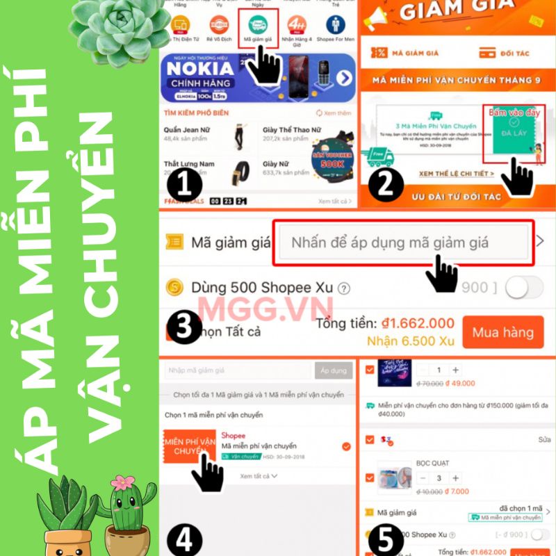 Chậu đất nung 12x6cm - Chậu trồng sen đá