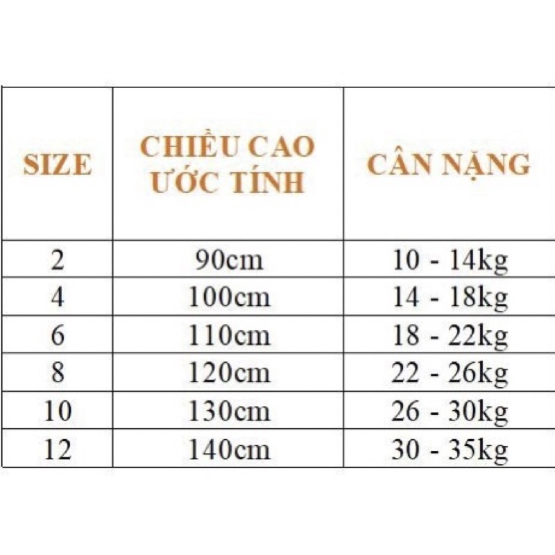 Áo Dài Lụa Trắng Cao Cấp Bé Gái