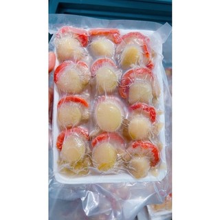 Thịt điệp bự tươi ngọt, hàng VN- 0.5kg