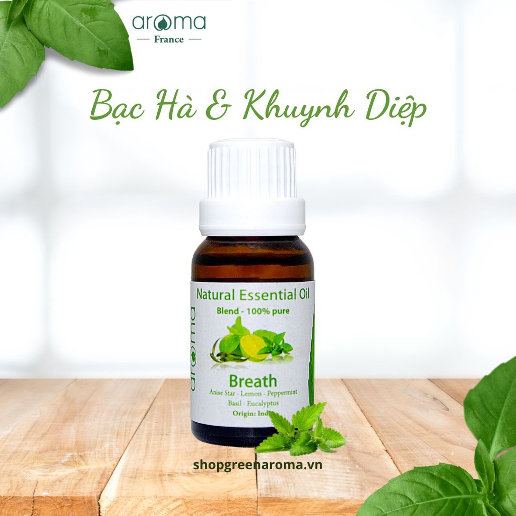 Tinh dầu Aroma Bạc Hà Khuynh Diệp 100ml