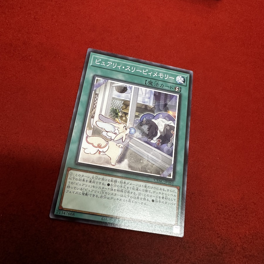 Purrely Sleepy Memory