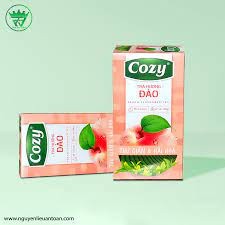 Trà cozy túi lọc ( dâu, đào)