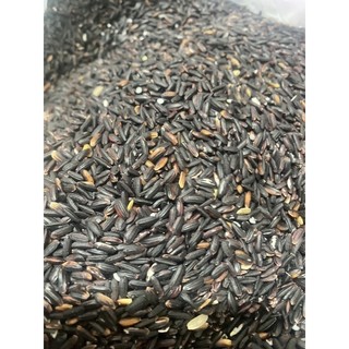 Nếp cẩm - nếp than đặc biệt