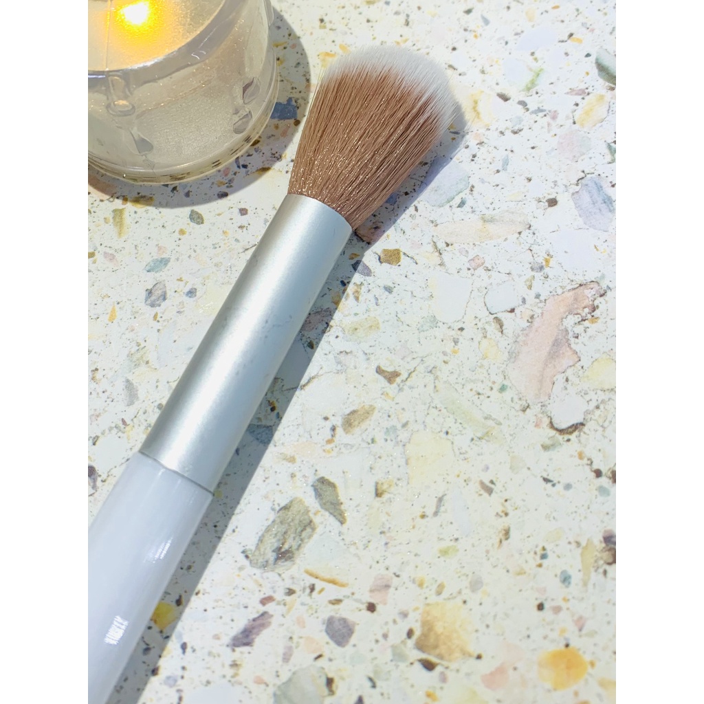 CỌ PHỦI MINI