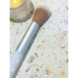 Cọ phủi mini