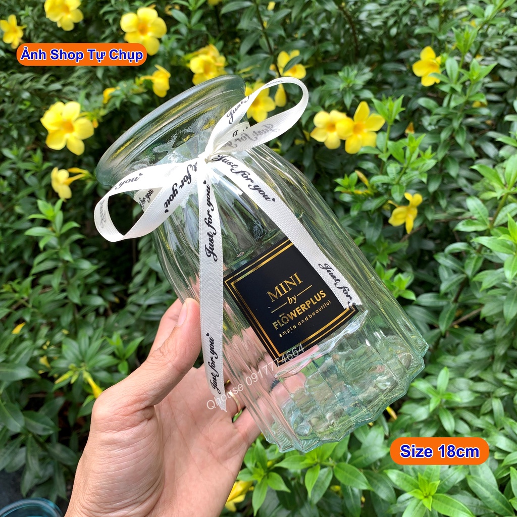 Lọ hoa thủy tinh Plus Múi Khế Cổ Thắt Nơ để bàn, trang trí nhà cửa đẹp Bắc Âu Qhouse