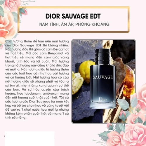 Nước Hoa Nam Dior Sauvage - Hương Thơm Của Đàn Ông Lịch Lãm - Teen_Perfume