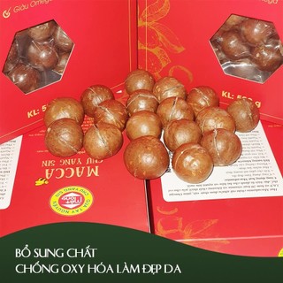 Hạt mắc ca Chư Yang Shin sấy lạnh