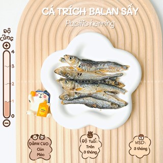Treat Bánh Thưởng Cho Chó Mèo Cá Trích Balan Sấy Khô DOGGOSTYLE Homemade Cung Cấp Protein Omega 3 Giúp Mượt Lông