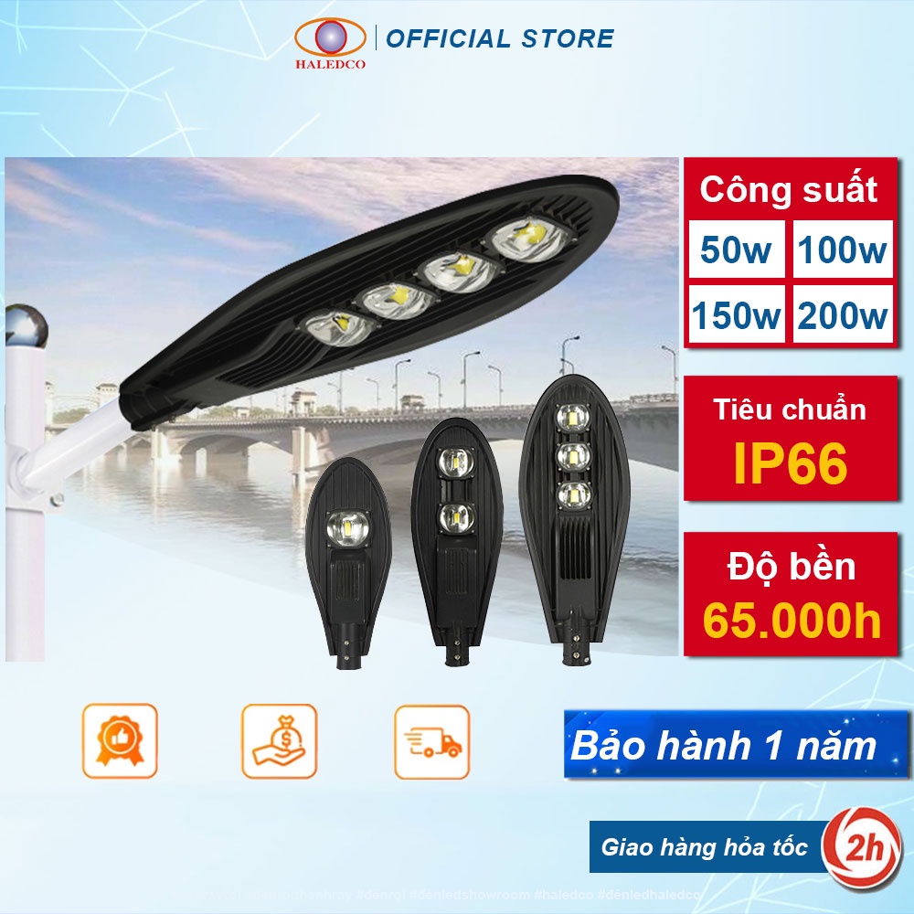 Đèn Đường Chiếc Lá Công Suất 50W, 100W, 150W, 200W Siêu Sáng Haledco Bảo Hành 1 Năm - HLSS7