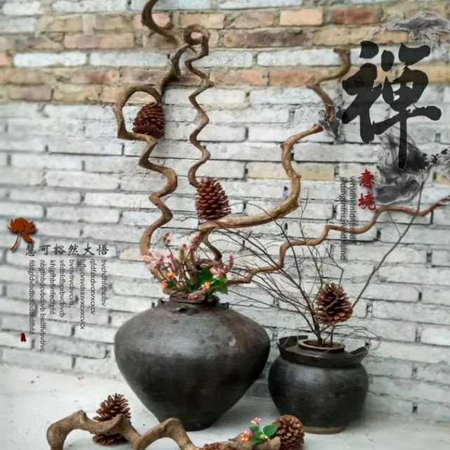 Dây leo rừng trang trí
