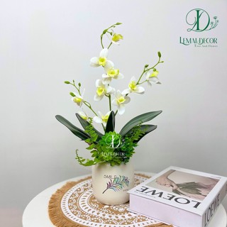 Chậu cây giả - Chậu lan hồ điệp
