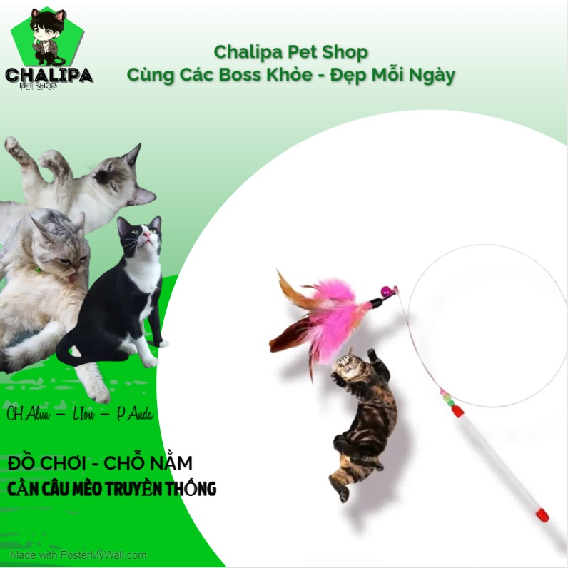 Đồ Chơi Thú Cưng - Cần Câu Mèo - Lông Vũ