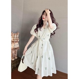 Đầm thêu trắng cổ V