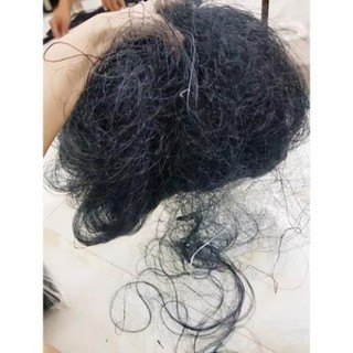 Lưới bẫy chim cu gáy, gà rừng