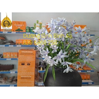 GẠO LỨT ĐỎ HỮU CƠ