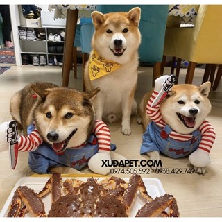 Bộ cosplay cho chó mèo nhân vật chucky - sp006019chuck