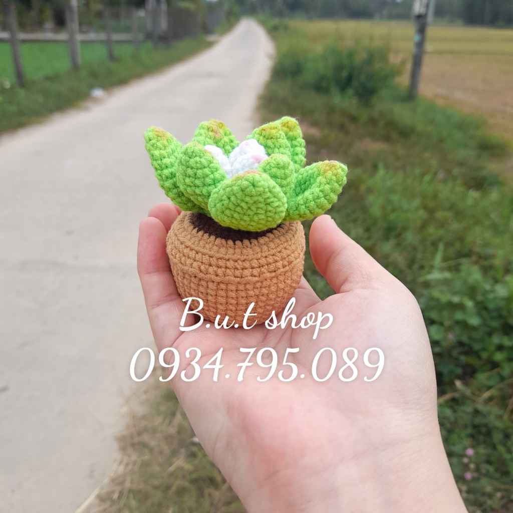 Chậu sen đá handmade mini - được làm từ len sợi