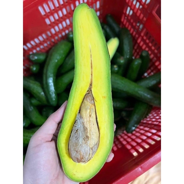 Trái cây tươi ĐÀ LẠT - Chuối Laba Đà Lạt - Bơ 034