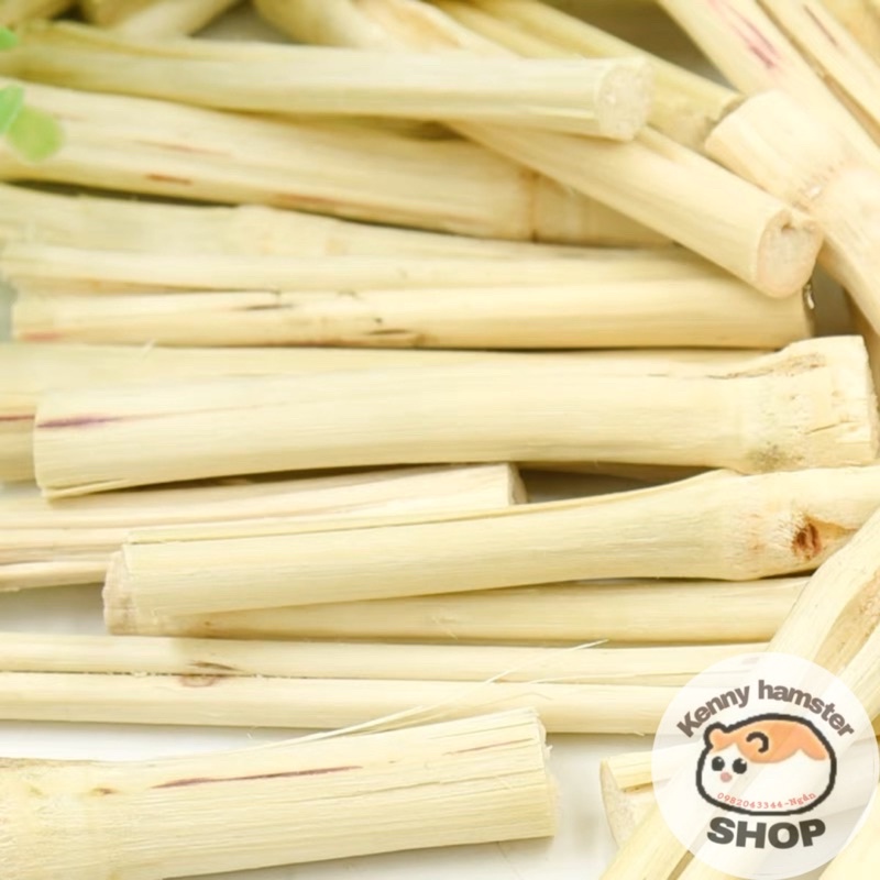 Thanh Tre Ngọt Mài Răng Cho Hamster, Thỏ, Bọ…