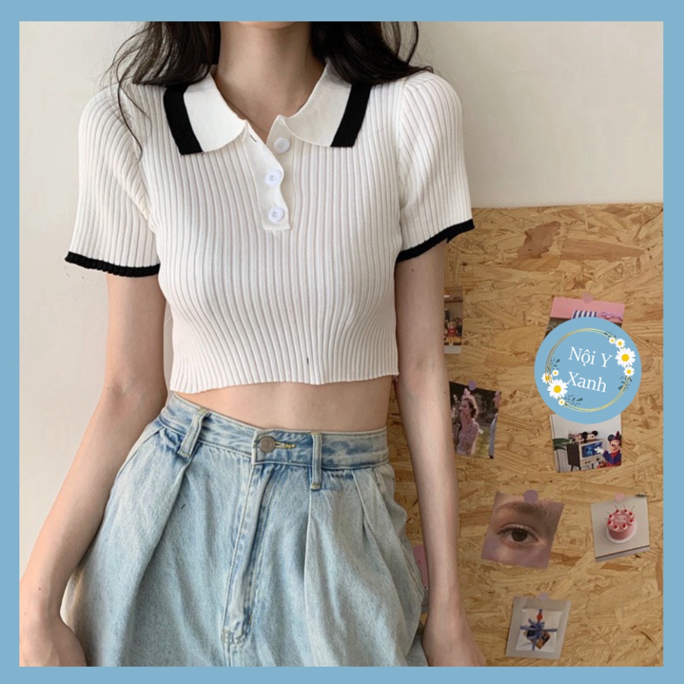 áo thun phông gân len nữ mongtoghi ngắn tay croptop cổ phối viền cá tính Nội Y Xanh