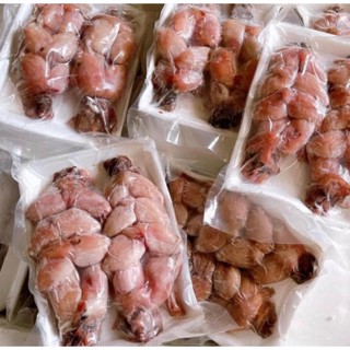 đùi ếch/tỏi ếch siêu to chắc thịt khay 500gr ❤️Tmart - Thực phẩm sạch