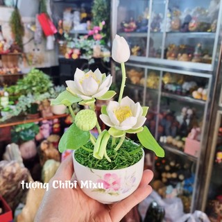 Chậu hoa sen bằng đất sét Nhật 20cm