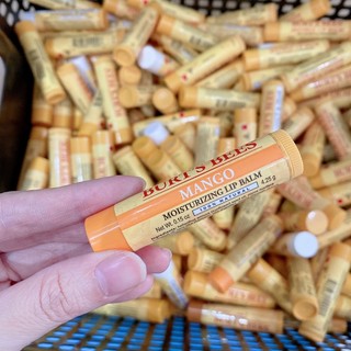 Son dưỡng môi Burt's Bees Moisturizing Lip Balm