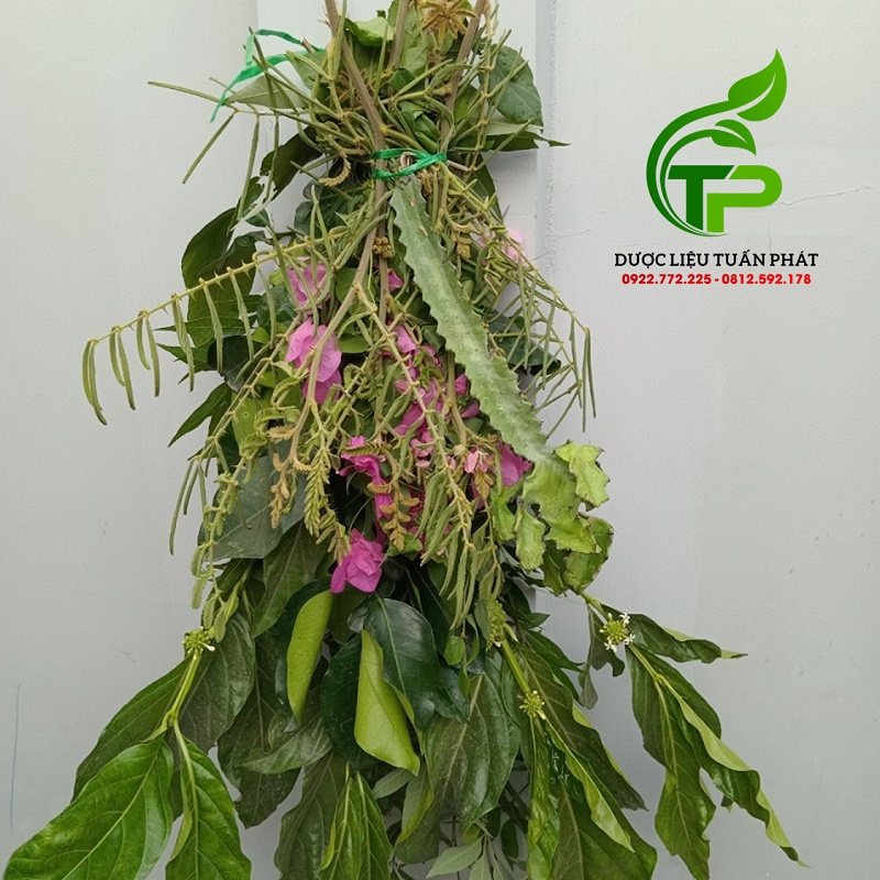 COMBO 7 loại gai trừ tà, xả vận xui đại cát đại lộc