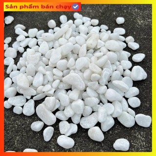 Sỏi trắng trang trí cây cảnh, bể cá và tiểu cảnh hồ nước