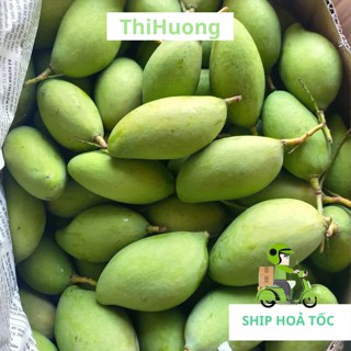 Xoài non, xoài bao tử 1kg + tặng kèm muối chấm - Ship toàn quốc, ship hoả tốc Hà Nội