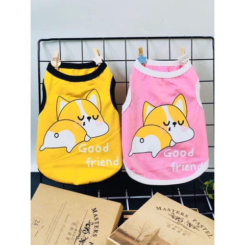 AT CÔTN CO GIĂN MÁT MẺ CORGI XINH XẮN