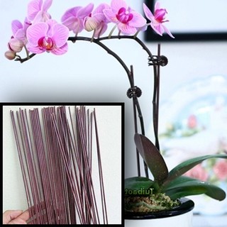 1kg que bọc nhựa NÂU cắm HỒ ĐIỆP