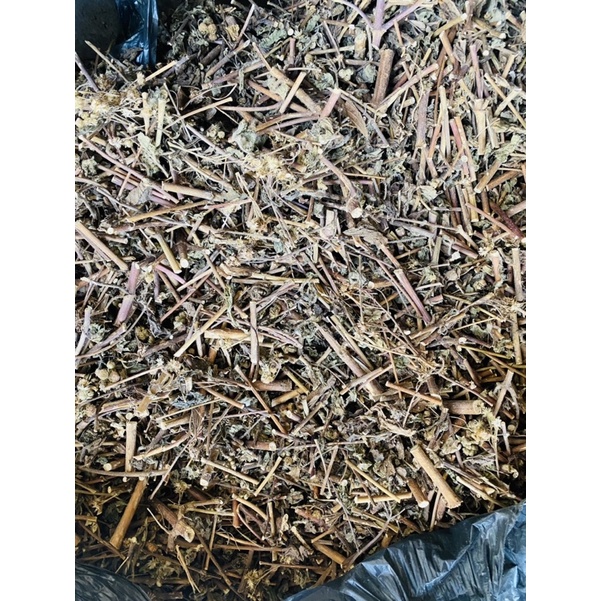 CÂY CỨT LỢN( NGŨ SẮC HOA TÍM-Xuyến chi) khô nguyên chất, loại 1 (mới, sạch, đẹp) [500gram]