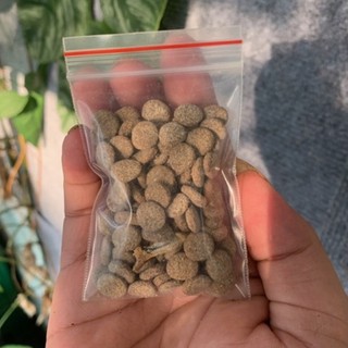 Thức ăn dạng viên cho isopod, cua GINA GARDEN