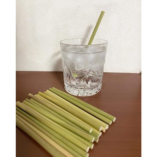 100 ỐNG HÚT CỎ BÀNG 15 CM GIÁ SIÊU TỐT, CHẤT LƯỢNG XUẤT KHẨU CHÂU ÂU, CTY GREEN FUTURE VIỆT NAM