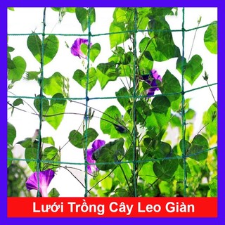 Lưới Trồng Cây Leo Giàn (chất liệu siêu chắc, bền bỉ, kích thước 90x180cm)