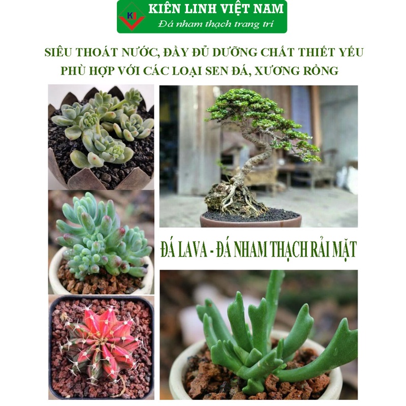 Đá Lava nham thạch rải mặt, túi 1kg, màu đỏ, dùng cho thủy sinh, bonsai, xương rồng, sen đá