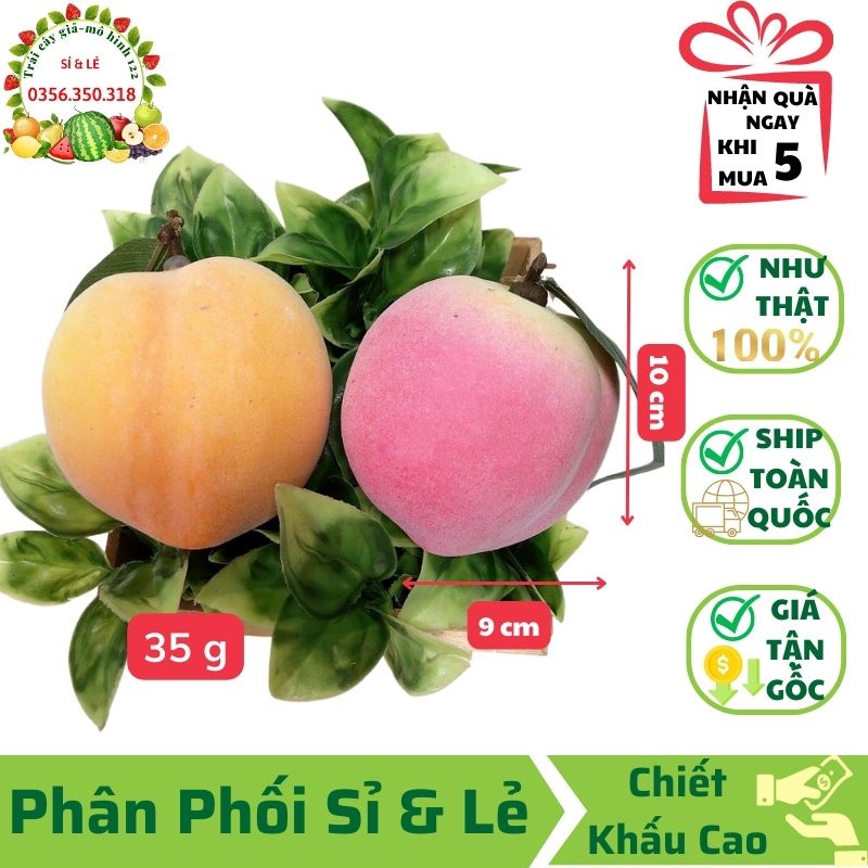 Đào Tiên Giả (Hồng/ Vàng) (9x10cm) mô hình Việt Nam công nghệ Thái Lan GIỐNG THẬT 99%- Dùng trang trí nhà, hàng quán