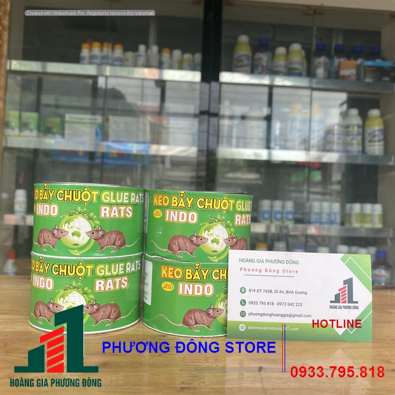 Keo bẫy chuột dạng lon (lon 90g)