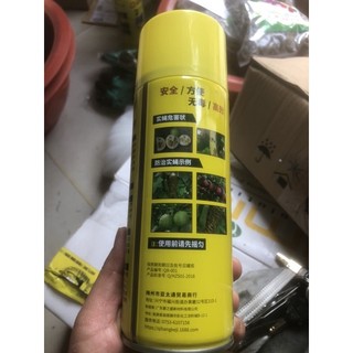 Chai xịt bẫy Ruồi vàng gây hại cho cây trồng, hoa trái.